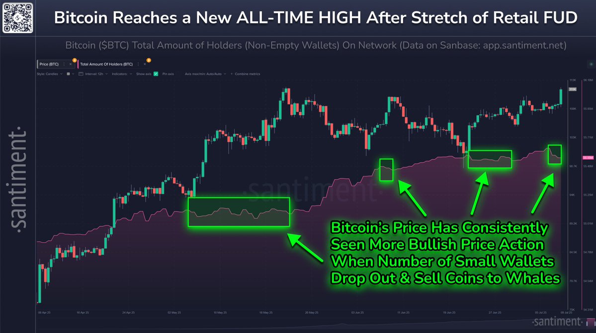 Gráfico da Santiment exibindo preço do Bitcoin em candlesticks e linha roxa representando número total de detentores, com áreas destacadas em verde