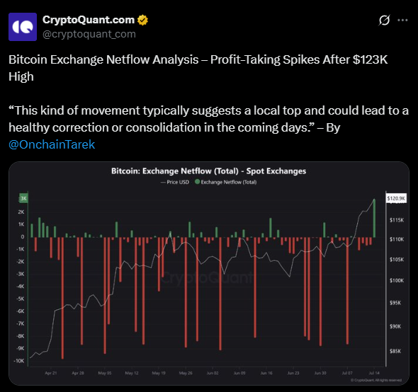 Gráfico da CryptoQuant mostrando fluxo líquido do Bitcoin em corretoras com picos de entrada após máxima de US$ 123 mil.
