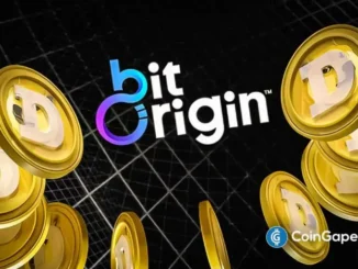 Logo da BitOrigin com moedas Dogecoin douradas em fundo escuro representando investimento institucional.
