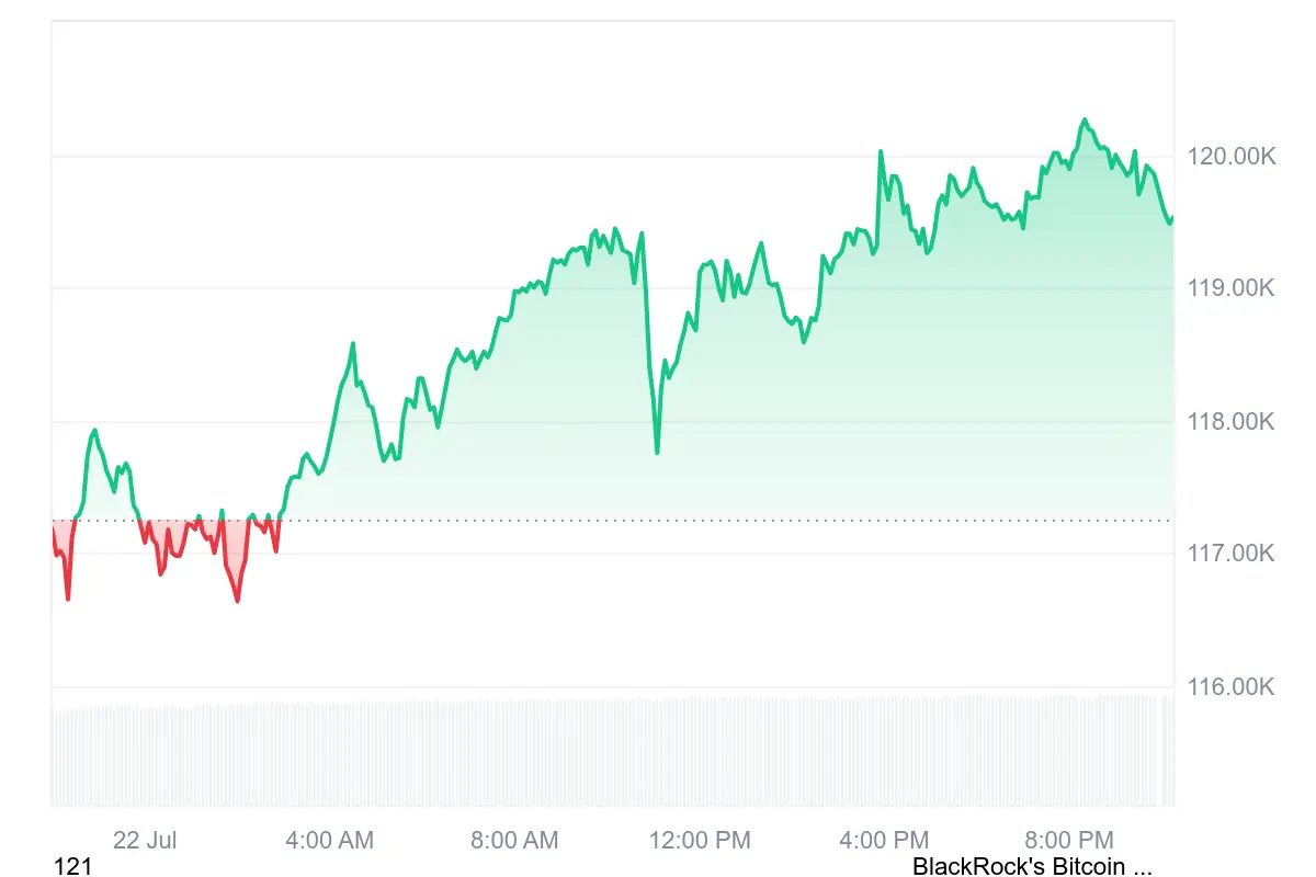 Gráfico de linha do preço do Bitcoin mostrando movimento de alta de US$ 117 mil para US$ 120 mil ao longo do dia 22 de julho.