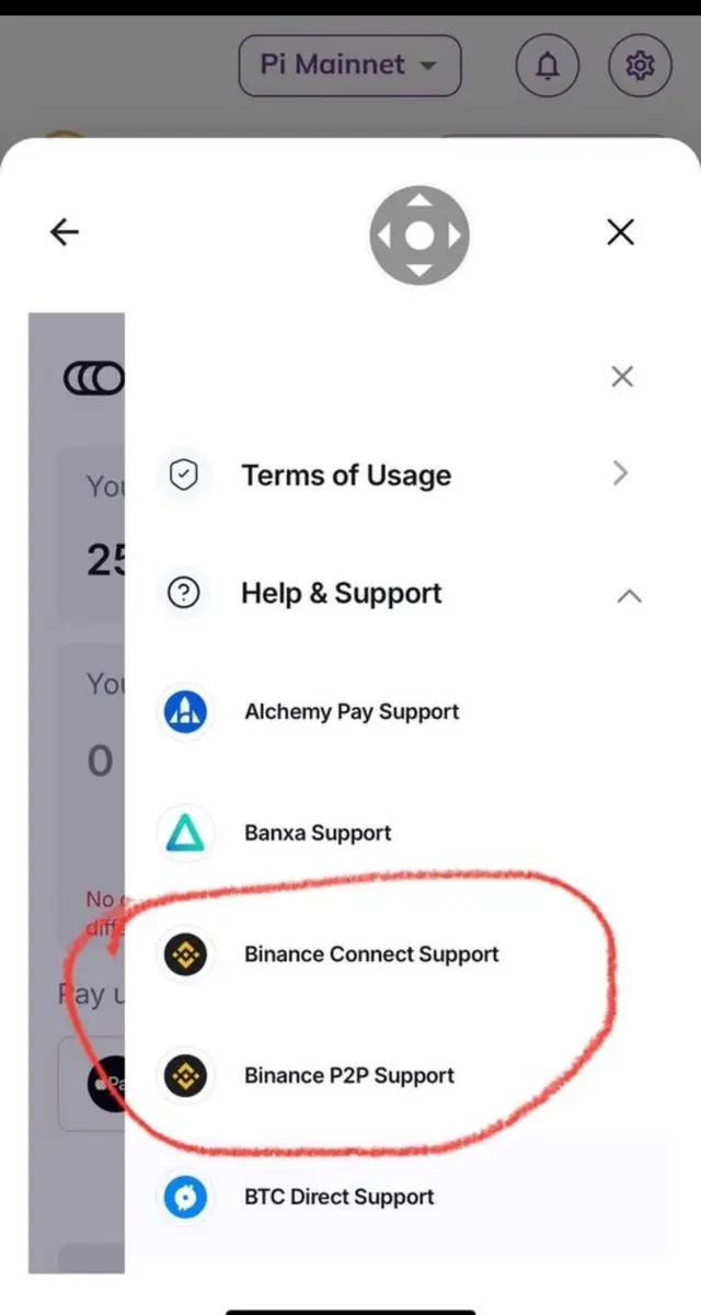 Captura de tela da aplicação Pi Network com menu Help & Support aberto, destacando as opções Binance Connect Support e Binance P2P Support circuladas em vermelho.