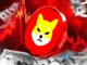 Moeda SHIB em declínio cercada por notas de dólar com gráfico vermelho baixista.
