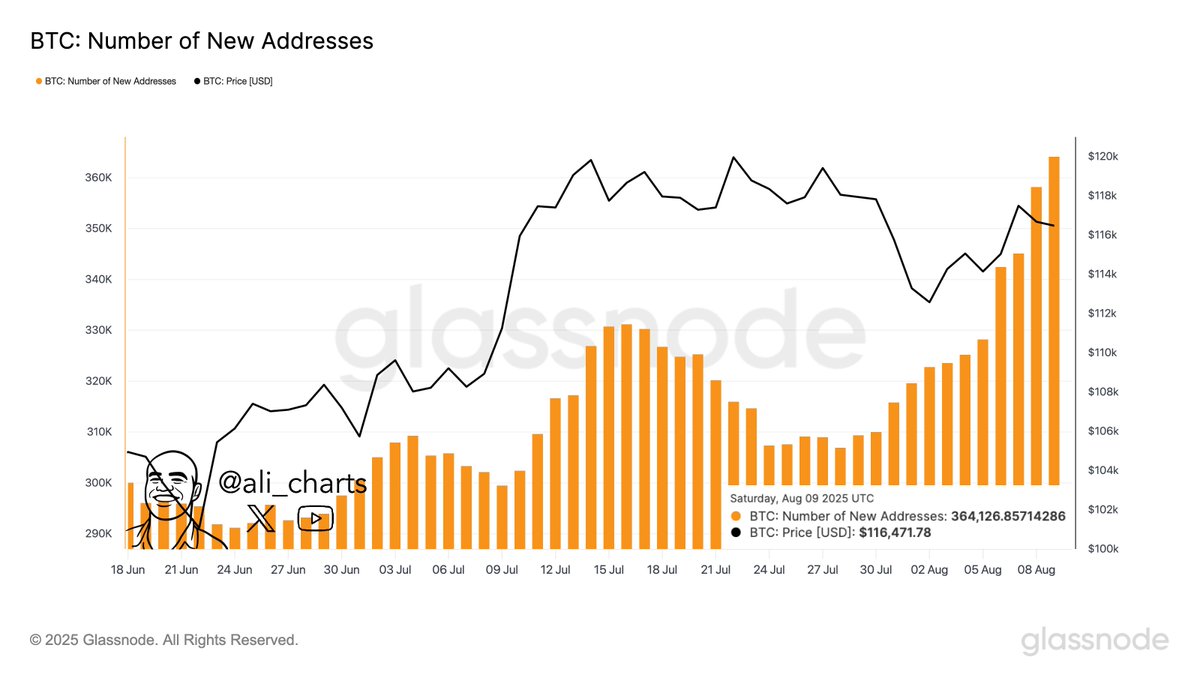 Gráfico de barras laranjas mostrando número de novos endereços Bitcoin com linha preta do preço BTC ao fundo.