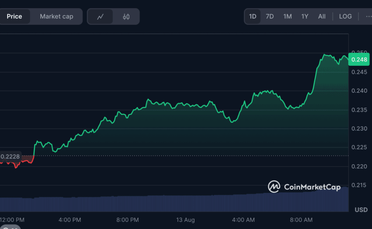 Gráfico verde do CoinMarketCap mostrando preço do Dogecoin subindo de US$ 0,2228 para US$ 0,248 em 24 horas.