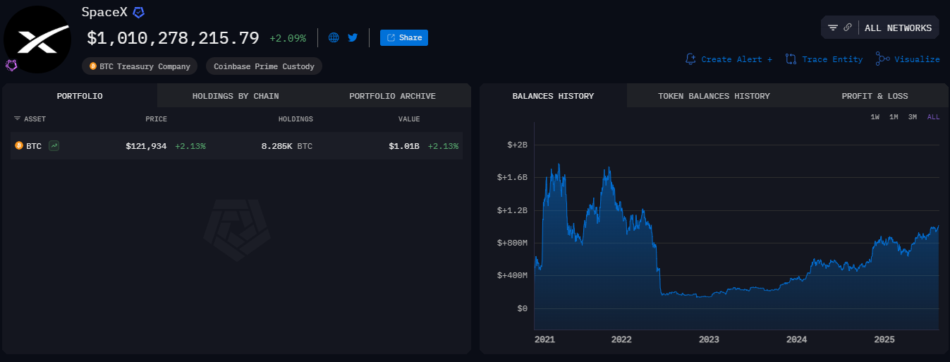 Interface do dashboard mostrando carteira Bitcoin da SpaceX com 8.285K BTC e gráfico histórico.