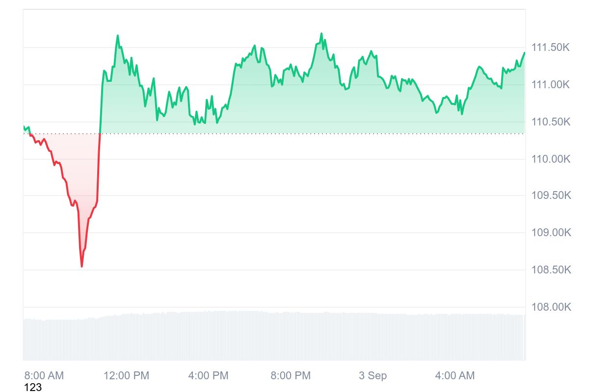 Gráfico de linha do preço do Bitcoin em timeframe intraday mostrando queda e recuperação