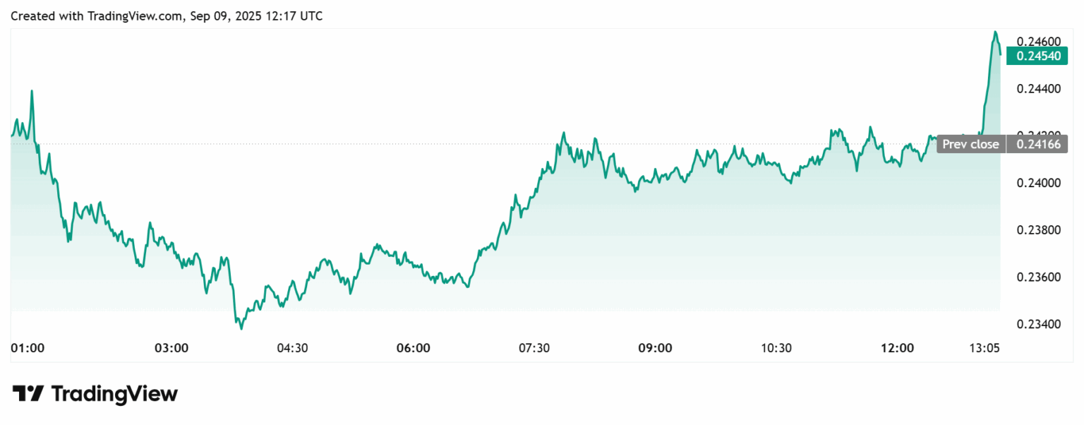 Gráfico de 12 horas do Dogecoin mostrando alta de US$ 0,23440 para US$ 0,24600