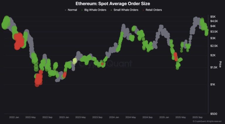 Gráfico da CryptoQuant exibindo o tamanho médio das ordens spot de Ethereum por tipo de investidor.